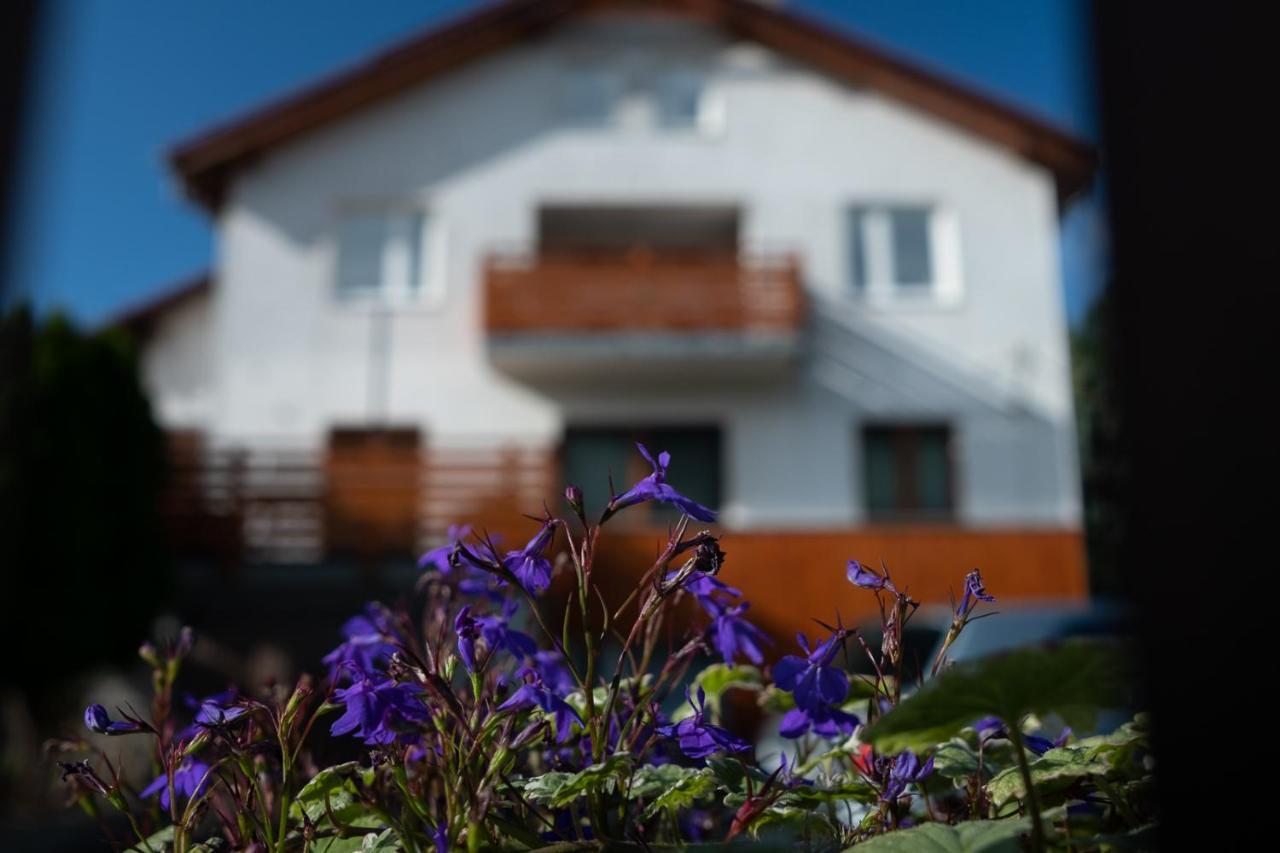 Apartamenty Karkonosze Gory Izerskie بييخوفيتسا المظهر الخارجي الصورة